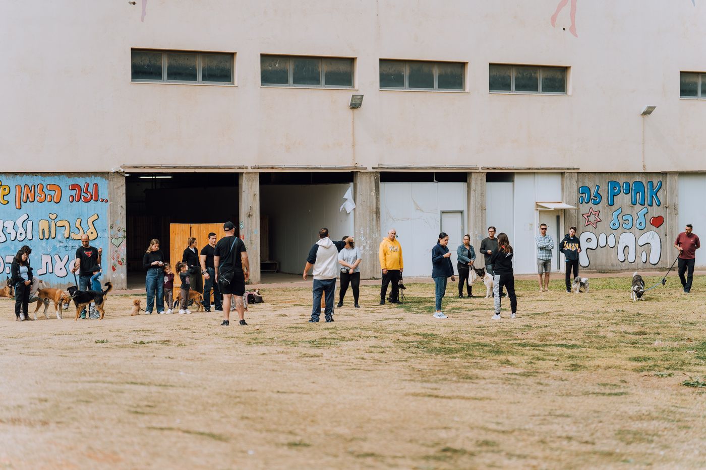 מפגש אילוף כלבים