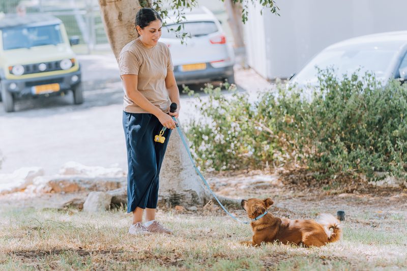 בר - בובה של כלב